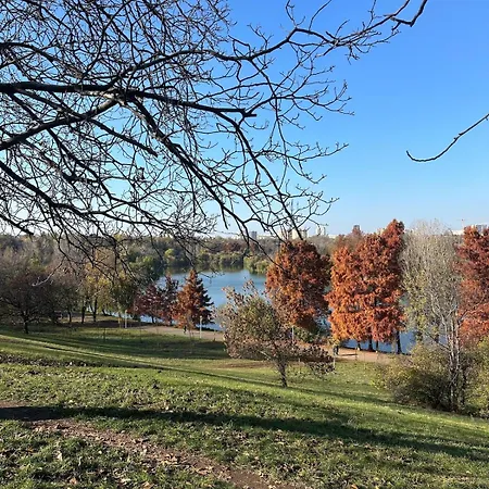 Park View Tineretului