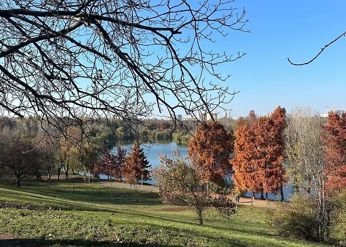 Park View Tineretului